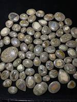 Opales naturelles en matrice, cabochons, pierres précieuses polies, pierres en vrac pour la fabrication de bijoux