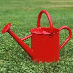 Arrosoir de jardin en métal multi-usages résistant à la rouille pour fleurs, herbes, arbustes et plantes potagères - Product Image 5