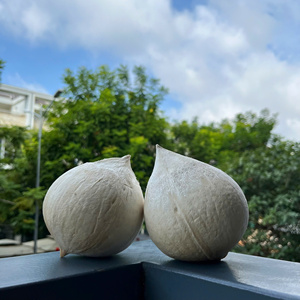Noix de coco exportée de qualité taillée au diamant du Vietnam Eau naturellement douce Longue durée de conservation Garnie pour emballage au détail et en vrac - Product Image 4