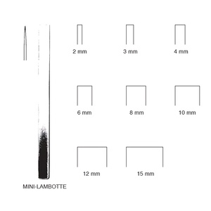 เหล็กตัดกระดูก LAMBOTTE แบบตรงและโค้ง ขนาดเล็ก 4 มม. ถึง 12 มม. รุ่น ZETOMEDPRO - Product Image 1