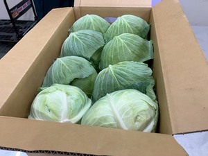 Meilleurs vendeurs : Patates douces japonaises de qualité supérieure, légumes verts frais, petits choux chinois - Product Image 6