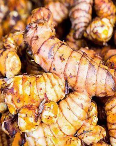 RAÍZ DE CÚRCUMA CONGELADA PREMIUM, PROCESADA IQF, CÚRCUMA FRESCA EN PIEZAS, SUMINISTRO AL POR MAYOR DESDE VIETNAM - Product Image 2