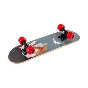 Planche à roulettes de sport de plein air 22 pouces, double kick, en érable, roulements ABEC - Product Image 1