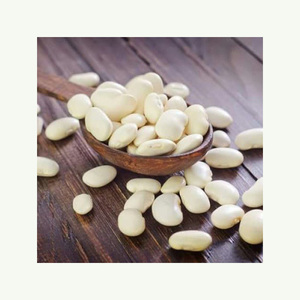 Haricots Blancs Naturels Biologiques en Gros de Haute Qualité – Haricots Blancs Séchés en Vrac - Product Image 3