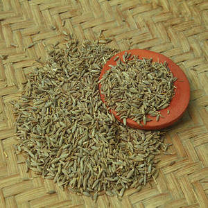 Vente en gros usine FitTree International Graines de cumin 100% pures du Gujarat, Inde - Stockage à froid et à sec, Herbes et épices individuelles - Product Image 1