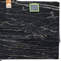 Dalles de granit poli de la Forêt-Noire pour comptoirs et murs de villas modernes – Fournisseur indien de pierre naturelle durable