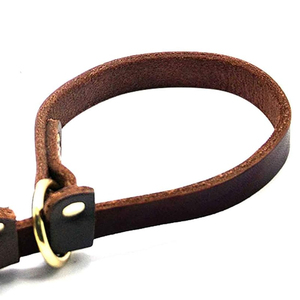 Correa de Cuero para Perro de Alta Calidad a Precio Accesible, Accesorios Modernos para Mascotas, Correa de Cuero para Perro - Product Image 5