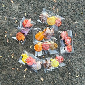 เปลือกหอยผสมเวียดนามคุณภาพดี เชื่อถือได้ สำหรับการจัดเก็บในครัวเรือนในระยะยาว โดย 99 Gold Data - Product Image 2