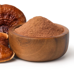 Authentic Top Quality Reishi Mushroom Powder 100% Natural and Pure Extract of Reishi Mushroom Powder Supports focus and memory - Product Image 1