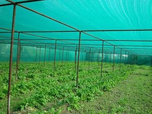 Green HDPE <b>Shade</b> Cloth Anti-Uv Garden Netting for Outdoor Plant Protection and <b>Sun</b> Shelter Use - Product Image 2