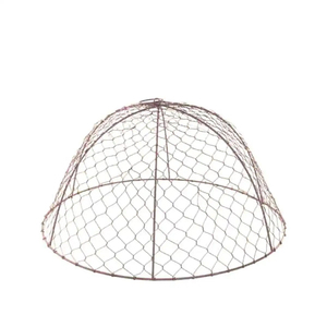 Cage de protection pour plantes en fer - Product Image 5