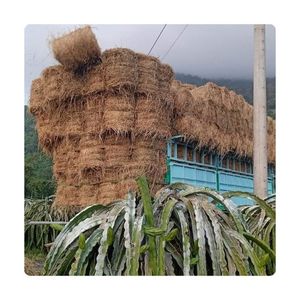 TOPGRADE Dried Rice Straw For Creative Craft Weaving Decoration Material And Industrial Compost Raw Supplies System - Product Image 3