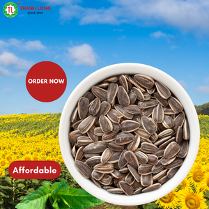 High Quality Vietnam-Grown Sunflower Seeds Raw <b>Confectionery</b> Flavor Dried Style Sunflower Kernels High Grade HACCP Certified - Product Image 3