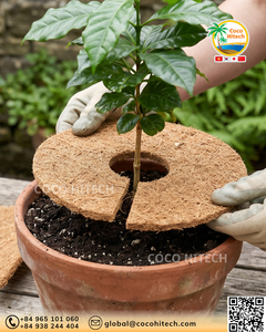 Manta de Fibra de Coco Natural en Varios Tamaños para Control de Humedad/Protección de Plantas/Decoración por COCO HITECH - Product Image 3