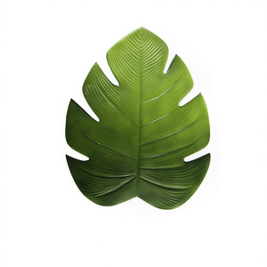 Set di 6 tovagliette tropicali Excelsa 46,5x37 cm verdi - Product Image 2