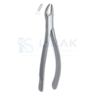 Forceps d'extraction dentaire en acier inoxydable, forceps manuels pour dents, griffes chirurgicales pour usage clinique - Product Image 3