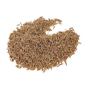 Comino indio entero de sabor natural, de la última cosecha, para comercio de especias a granel, suministro de exportación y compradores internacionales - Product Image 3