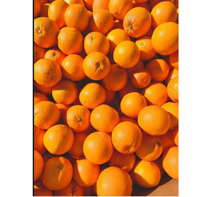 Naranjas Frescas de Alta Calidad, Cosechadas en Granja, Cítricos con Sabor Intenso para Mercados Mayoristas y Nutrición Diaria - Product Image 4