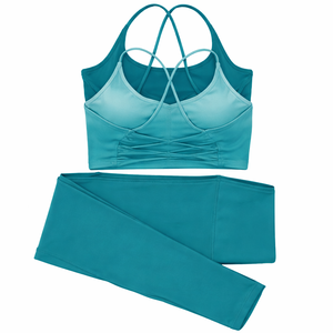 Ensemble de vêtements de sport pour femmes, sans couture, uni, écologique, soutien-gorge de sport, short, extensible dans quatre directions, séchage rapide, OEM, vente en gros, style personnalisé - Product Image 1