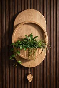 Support mural en bois pour plantes, étagère décorative suspendue en forme d'arc, décoration intérieure - Product Image 5