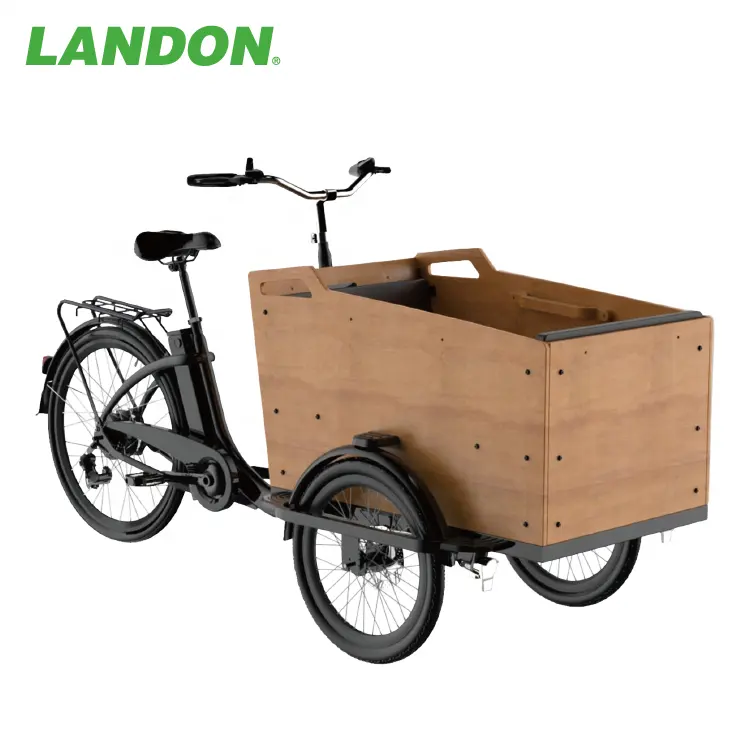 Vélo cargo LANDON fabriqué à Taiwan, Chine 250W tricycle électrique vélo 2 roues tricycle électrique famille enfants et enfants cycle.