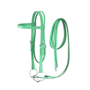 Têtière en cuir pour cheval, réglable, verte, avec anneaux métalliques, harnais équestre, quincaillerie dorée. - Product Image 2