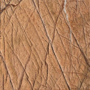 Losas y Azulejos de Mármol Pulido Rainforest Gold para Proyectos de Hoteles y Villas, Proveedor de Piedra Natural de la India - Product Image 6