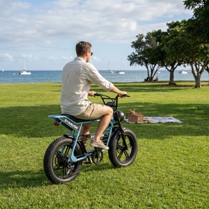 <span class=keywords><strong>Vélo</strong></span> <span class=keywords><strong>électrique</strong></span> confortable à pneus larges avec porte-bagages arrière, <span class=keywords><strong>vélo</strong></span> <span class=keywords><strong>électrique</strong></span> pratique pour la conduite urbaine quotidienne - Product Image 6