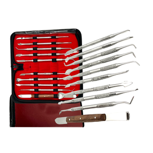 Kit professionnel d'instruments de précision pour sculpture de cire en laboratoire dentaire allemand, en acier inoxydable, ProMax LabSet - Product Image 2