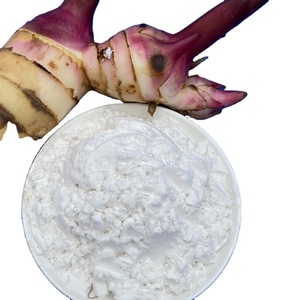 Fábrica de Venta de Almidón de Arrowroot Orgánico de la Mejor Calidad 2020 con el Mejor Precio en Vietnam - Product Image 1