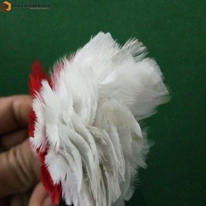 Plumas Decorativas de Primera Calidad, Color y Logotipo Personalizados, Accesorio Ligero para Disfraces y Sombreros - Product Image 2
