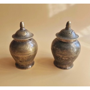 Los Más Vendidos: Especieros de Acero Inoxidable de Calidad Fantástica, Ecológicos, Herméticos, con Tapas Perforadas, Herramientas Duraderas para Especias y Hierbas - Product Image 6