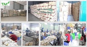 Choix populaire dans les gants de sécurité Équipement de protection fabriqué industriel léger Tricot doux Longueur 21-26cm Fabriqué au Vietnam - Product Image 6