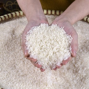 Riz Jasmin LOTY VIET Qualité Supérieure Milagrosa – Meilleur Choix Riz Parfumé Aromatique à Grains Longs – Vente en Gros Export - Product Image 5