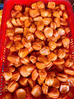 Vietnamese rode jackfruit, bulk, pitloos, gepeld en gereinigd, natuurlijke zoete smaak, diepvries tropisch fruit, klaar om te eten