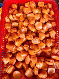 Jaca Roja Vietnamita Congelada Sin Semillas, Fruta Tropical Lista para Usar, Proveedor al por Mayor - Product Image 5