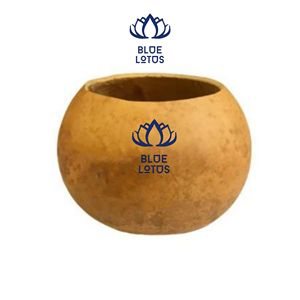 Meilleures ventes : Bols en calebasse écologiques faits à la main pour le service alimentaire et la décoration rustique de la maison – Fournisseur export - Product Image 1
