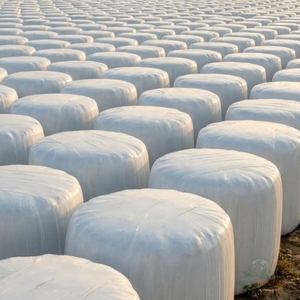 Silage de maïs de qualité export pour l'alimentation des vaches laitières, silage de maïs jaune pour les fermes bovines et l'approvisionnement en gros d'aliments pour bétail - Product Image 4