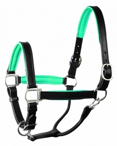 Cabezalera de cuero premium para caballo con acolchado de cuero suave de color y herrajes de hierro, zinc o latón, fabricante de la India. - Product Image 2