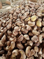 Biologische Knapperige Natuurlijk Geroosterde Gedroogde Cashewnoten Vietnam - Gezond Veganistisch Voedsel Topkwaliteit Groothandel Private Label OEM Service