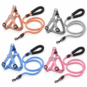 Harnais pour chien réglable en polyester et laisse de 120 cm avec poignée en mousse, vente en gros, OEM ODM - Product Image 1