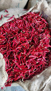Épices brutes de haute qualité et piments séchés transformés par lyophilisation, en vrac de 25 kg au meilleur prix - Product Image 5