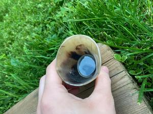 Verre à shot en corne de buffle naturelle, artisanal, style Agate OX/Buffalo Love, verres à bière, fabricant de verres en agate - Product Image 3