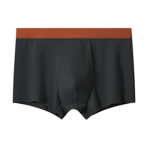 Ropa Interior Masculina de Cintura Baja, Tejida, Corte Regular, Transpirable, Elástica, Suave, Cómoda, Moderna y a la Moda - Product Image 2