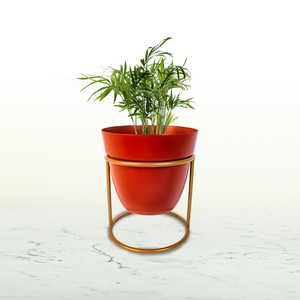 Maceta Blanca de Metal para Plantas con Soporte de Hierro, Moderna y Elevada, para Decoración Minimalista del Hogar, Estilo de Jardín Interior, Elegante - Product Image 5