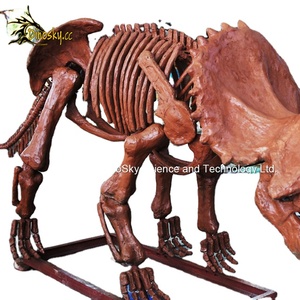 Nhà máy trực tiếp <span class=keywords><strong>Lifesize</strong></span> Đất Sét mô hình kỹ thuật khủng long hóa thạch với tùy chọn tùy biến dinosky - Product Image 1