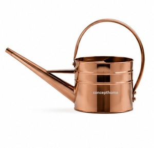Arrosoir en métal avec poignée en laiton pour le jardinage, design durable - Product Image 5