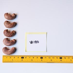 เม็ดมะม่วงหิมพานต์อบแบบออร์แกนิกเกรดพรีเมียม รสเค็มเนื้อนุ่ม บรรจุภัณฑ์โลหะขนาด 10 กก. ปรับแต่งได้ตามต้องการ ได้รับการรับรองมาตรฐาน ISO จำหน่ายส่งจำนวนมาก - Product Image 2