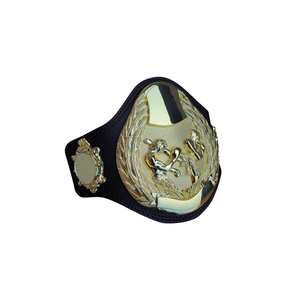 เข็มขัดแชมป์มวยปล้ำแบบใหม่ ดีไซน์สีทอง คุณภาพพรีเมียม สำหรับนักสะสม พร้อมงานศิลปะที่ประณีต - Product Image 6