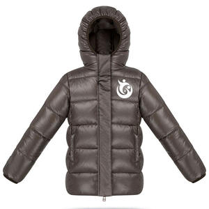 Chaqueta Bomber de Invierno con Estampado por Sublimación, Capucha, Cuello Alto, Logotipo Frontal, Corte Ajustado - Product Image 1